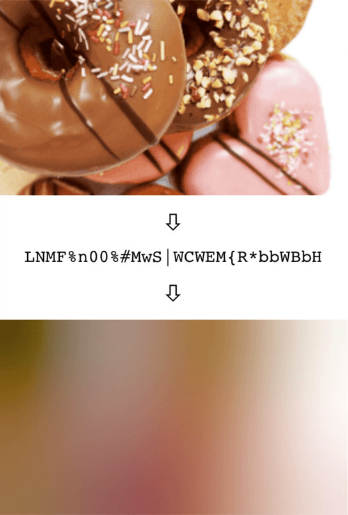 Original Image → Encoded String → Decoded Placeholder
